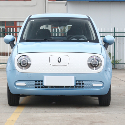 Waaier 301km Zuivere Elektrisch voertuig Grote Muur Euler Cat Minicar 35kw 125NM