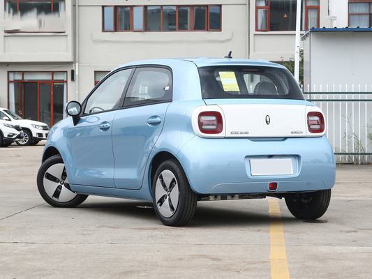 Waaier 301km Zuivere Elektrisch voertuig Grote Muur Euler Cat Minicar 35kw 125NM