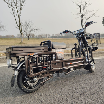 70km/H Motorfiets 1500W 2000W 3000W van de hoge snelheids de Elektrische Lading