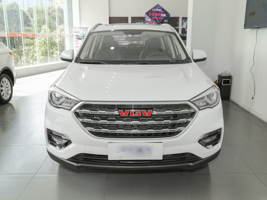Wit 7 Seater-Auto SINOTRUK VGV van de brandstoftank 55L gebruikte Handsuv 175 Km/H